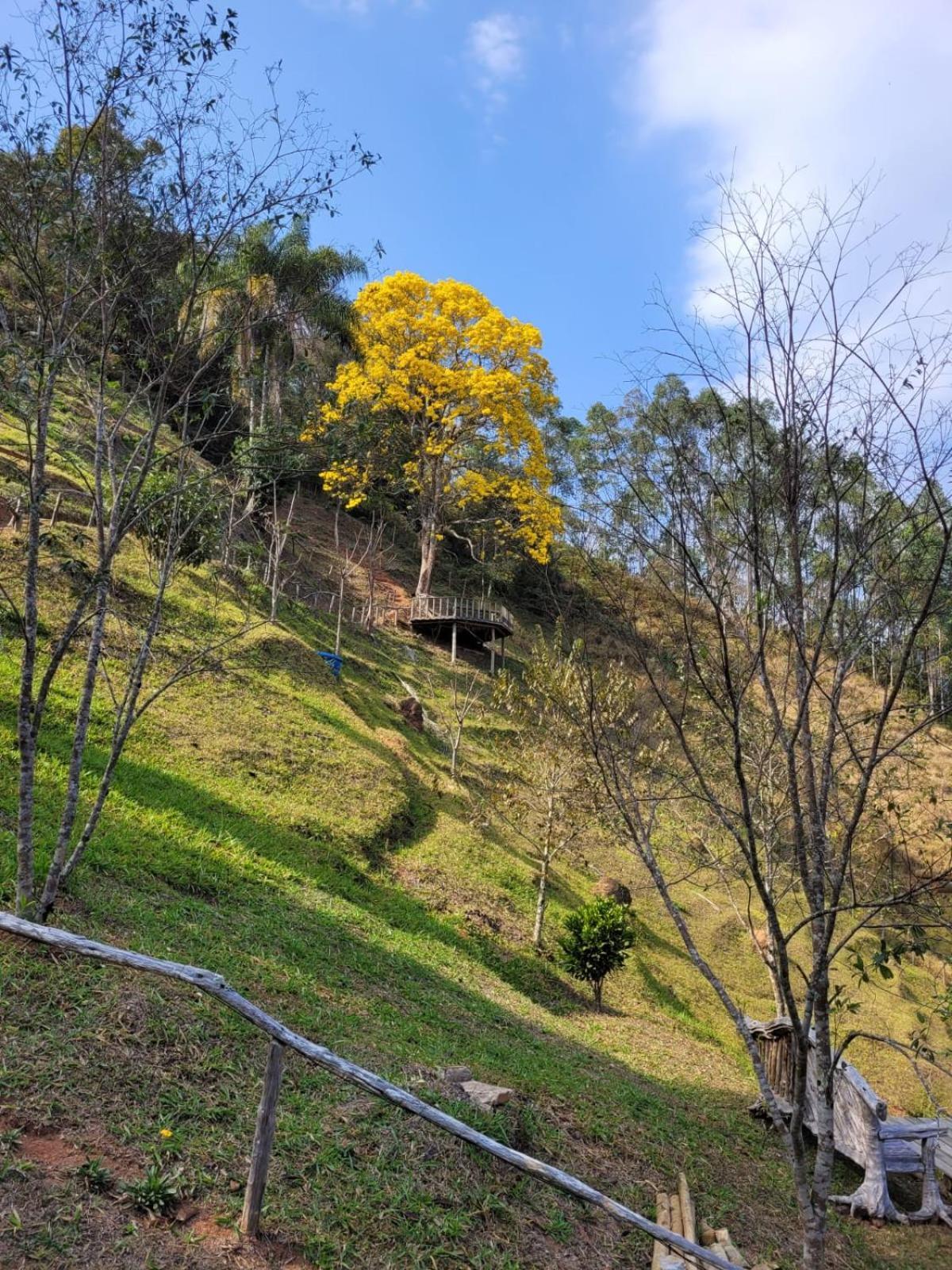 Pousada Recanto Do Ype Aiuruoca Exteriör bild